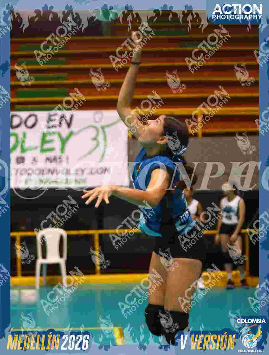 MAVERICK Foto 3